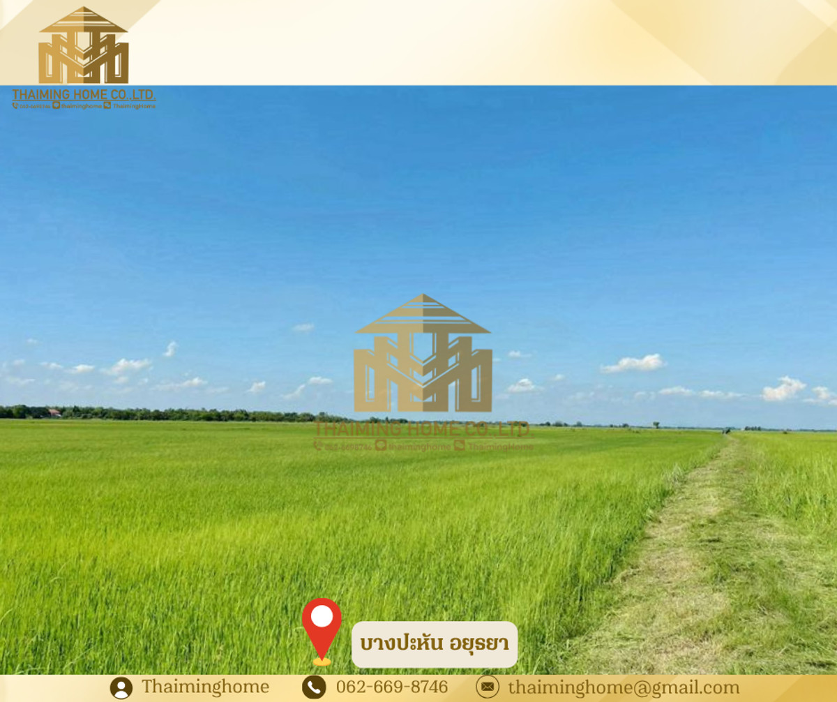 ขาย ที่นา 20 ไร่ 22 ตรว.ครุฑแดง  บางปะหัน พระนครอยุธยา   (TL07-0226) – รูปที่ 3