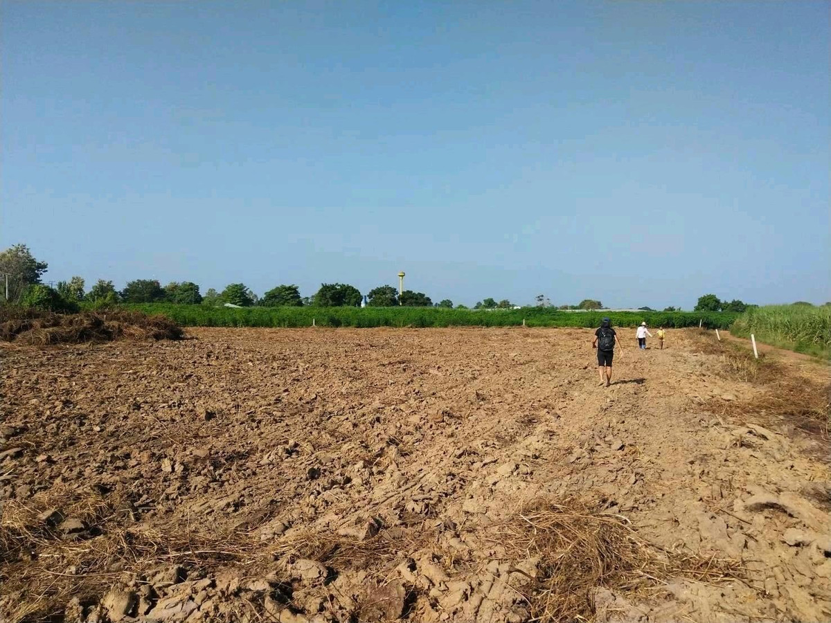 Land for sale, Bang Rakam District, Phitsanulok Province, size 4 rai 31 square wah.Selling the whole plot, price 4.7 millionNext to Lan Krabue-Phitsanulok Road Suitable for doing business The road route is expanding. If interested, 099 265-8565 id satap Land for sale, Bang Rakam District, Phitsanulok Province, size 4 rai 31 square wah.Selling the whole plot, price 4.7 millionNext to Lan Krabue-Phitsanulok Road Suitable for doing business The road route is expanding. If interested, 099 265-8565 id satap