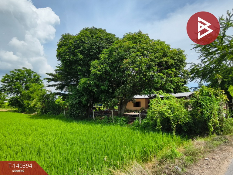 Land for sale, area 2 rai 3 ngan, Don Chedi, Suphanburi. – รูปที่ 3
