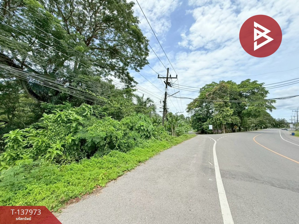 Land for sale, area 2 ngan 74 sq m, Tha Chana, Surat Thani. – รูปที่ 4
