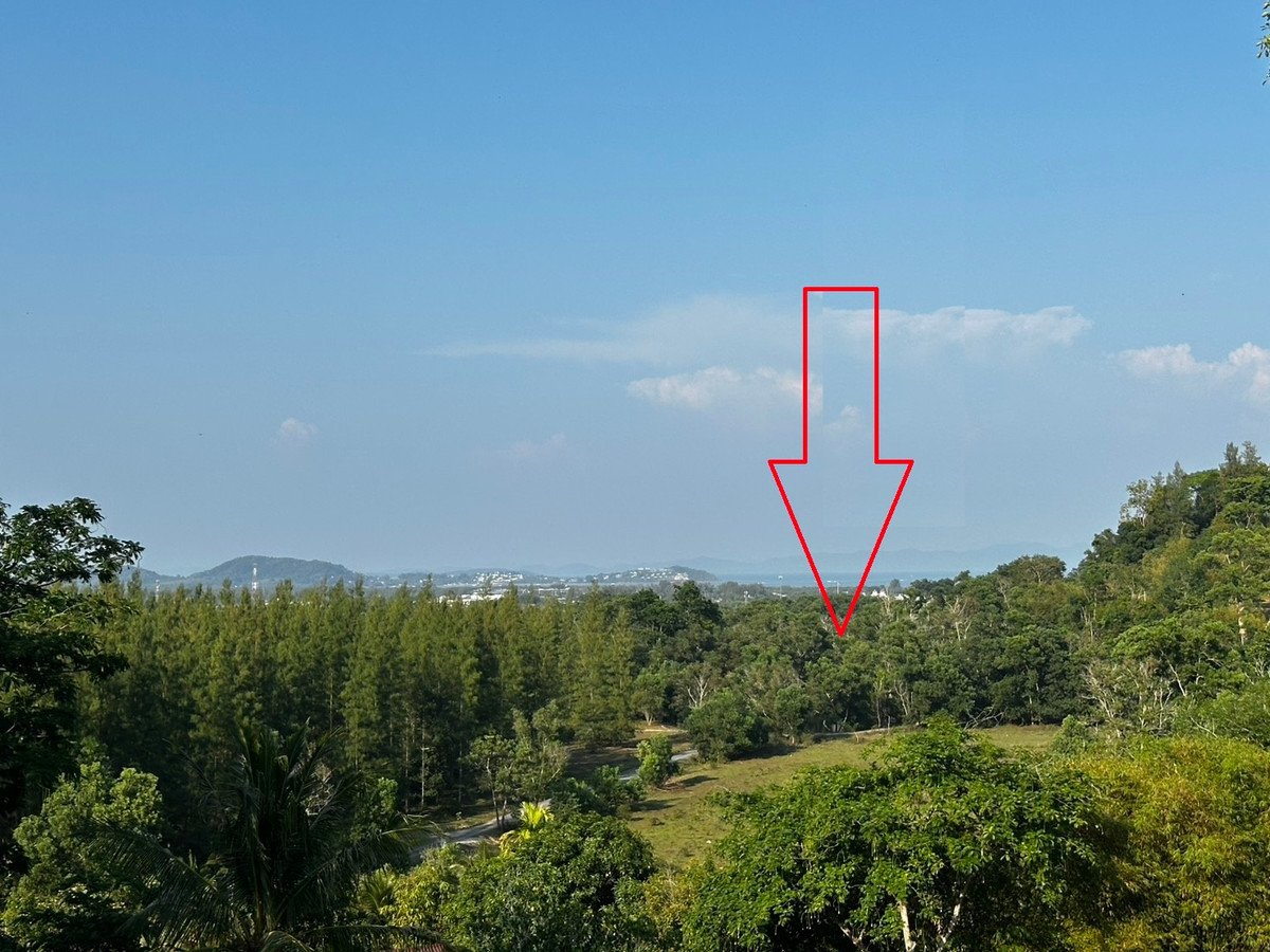 Empty land for sale, Mueang District, Phuket Province.