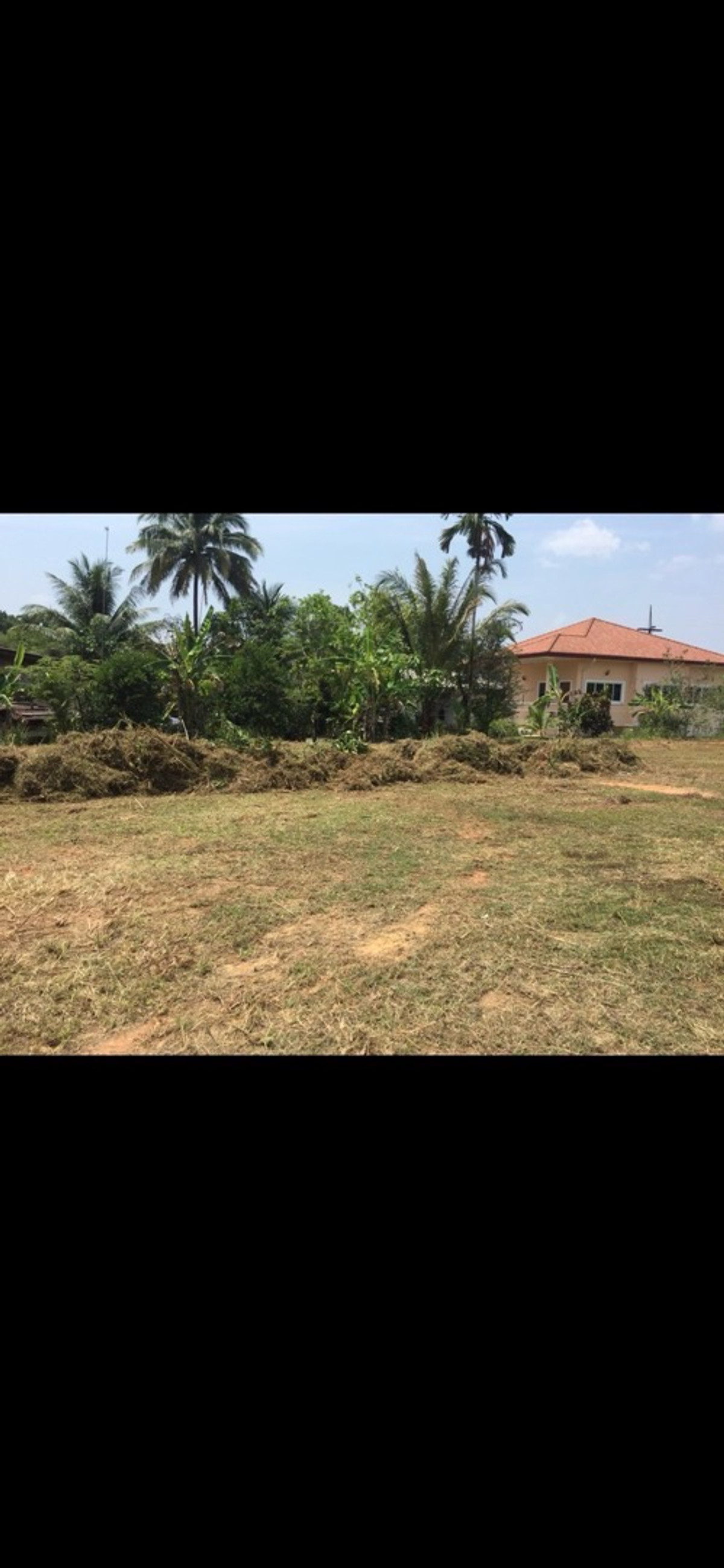 land sale tropical moutain view – รูปที่ 4