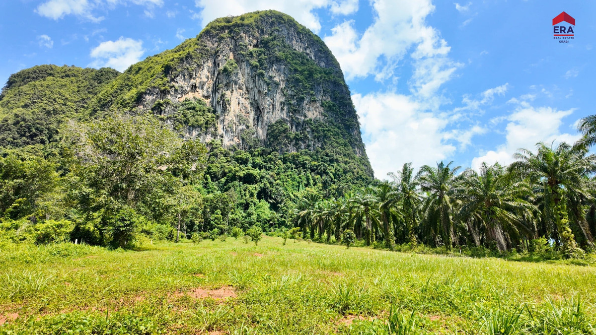 Elevated Sea View Land — Prime Location “Nong Thale” Krabi, กระบี่