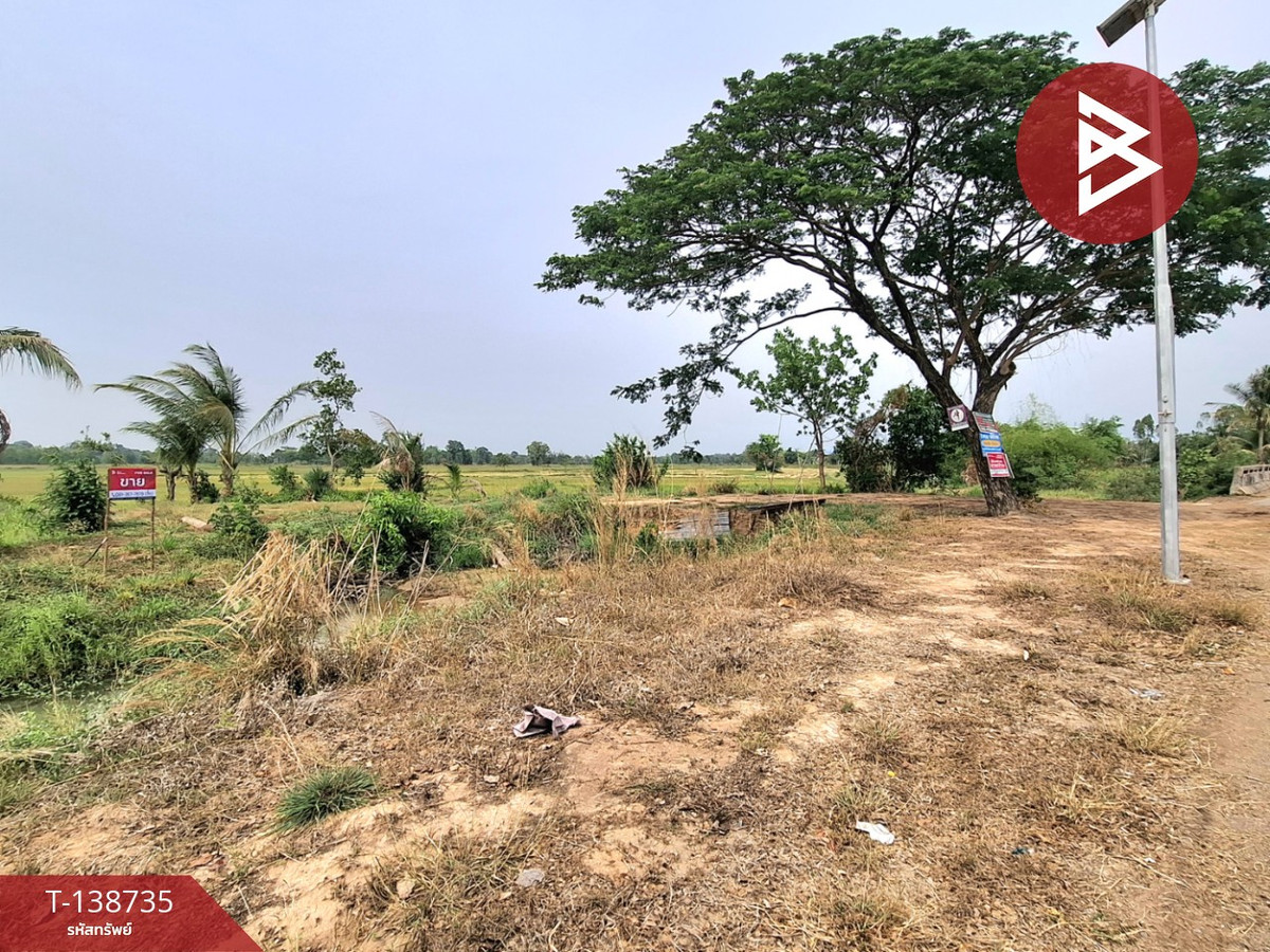 ขายที่ดิน เนื้อที่ 7 ไร่ 2 งาน 40 ตร.วา จังหาร ร้อยเอ็ด – รูปที่ 2