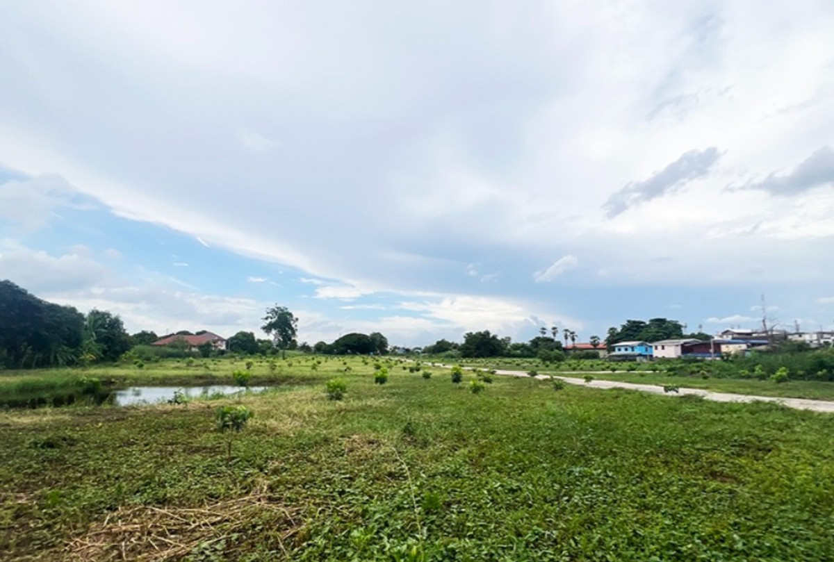 Large plot of land, Mueang District, Pathum Thani. – รูปที่ 3