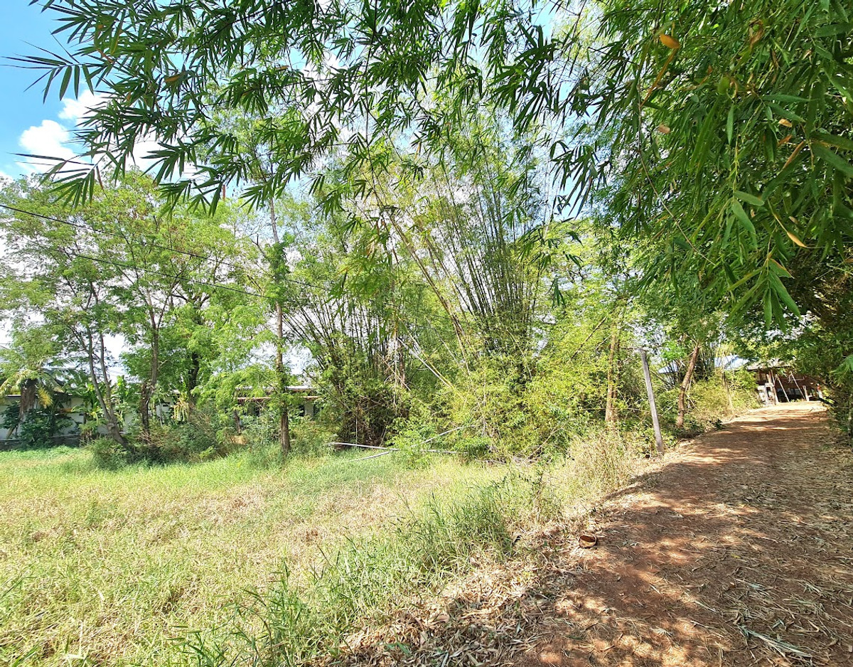 ขายที่ดินปราจีนบุรี อำเภอเมือง เนื้อที่รวม 2-2-24 ไร่ ถนนปราจีนบุรีอนุสรณ์ ตำบลท่างาม – รูปที่ 4