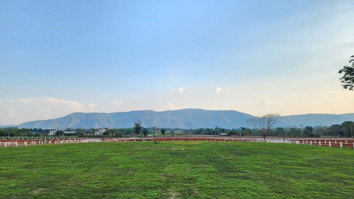 Phuphirom Khao Yai – SPRING SEASON – รูปที่ 2