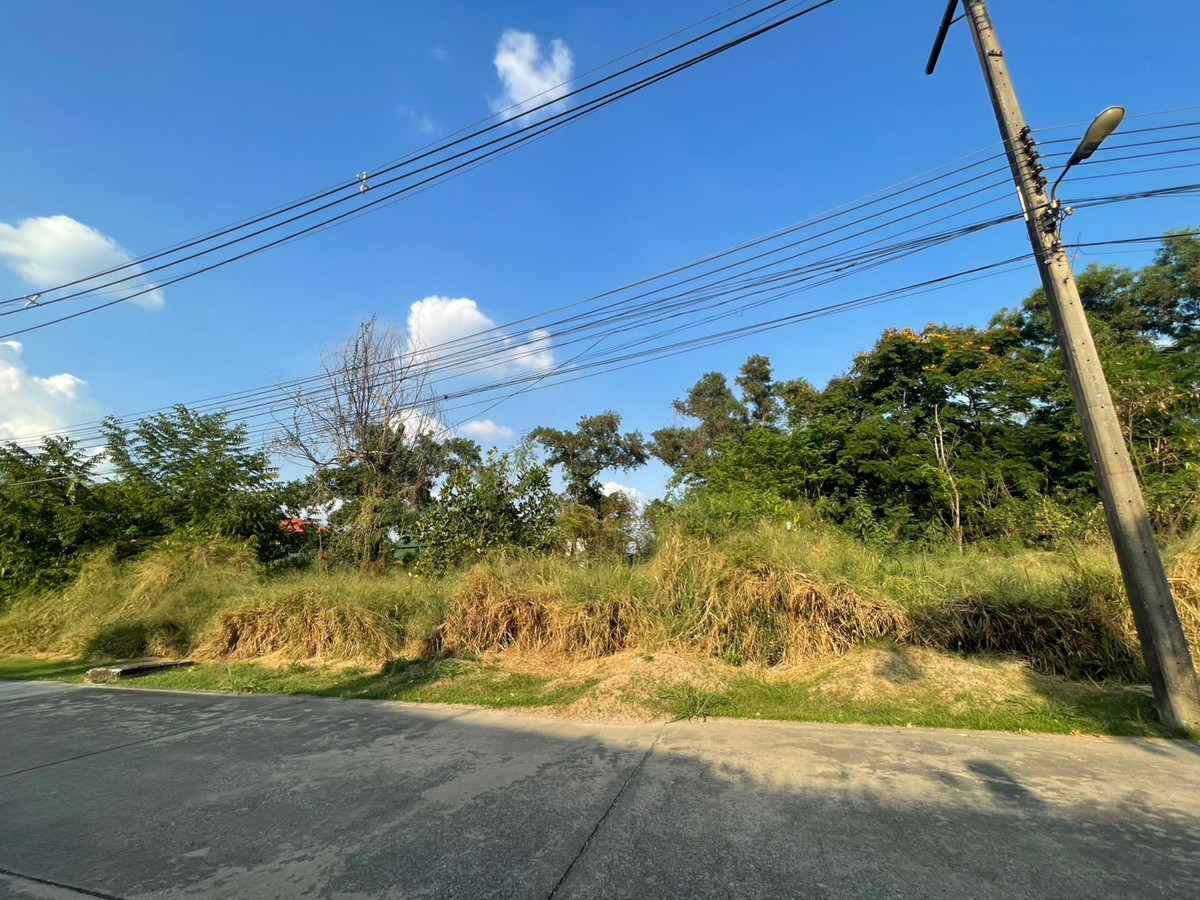 ชายที่ดินหมู่บ้าน เมืองเอก โครงการ 3 จำนวน  484 ตางรางวา แปลงสวย หัวมุม  – รูปที่ 2