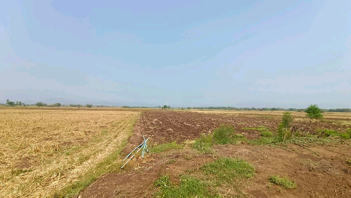 Land for sale – รูปที่ 2