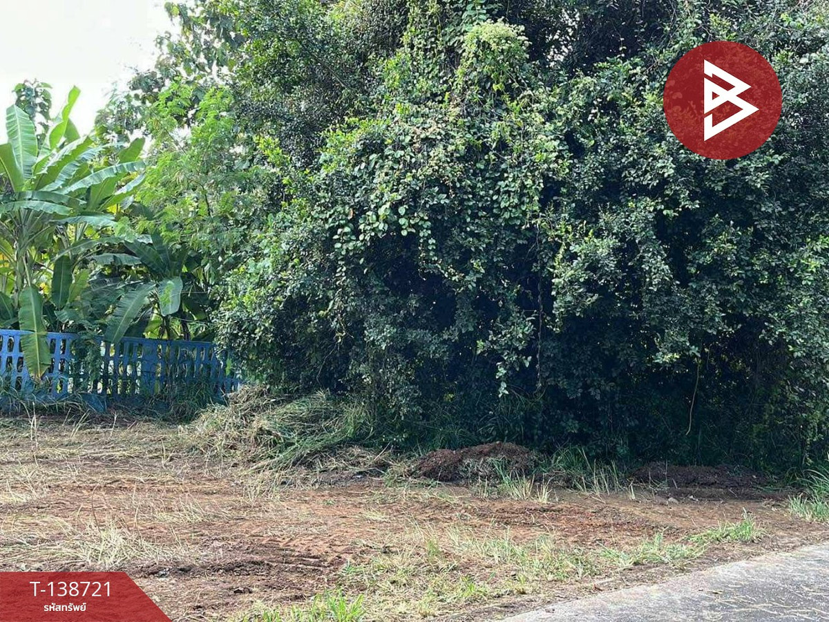 Land for sale, area 51 sq m, San Kamphaeng, Chiang Mai.