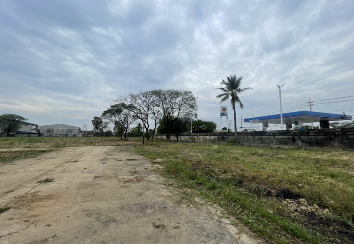Large plot of land, Sam Phran District, Nakhon Pathom. – รูปที่ 4