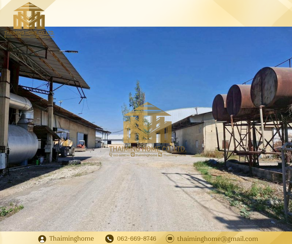 Warehouse/factory for rent, size 9,000 and 7,500 sq m., Wang Sala Subdistrict, Tha Muang District, Kanchanaburi Province (TW9-0726) – รูปที่ 4