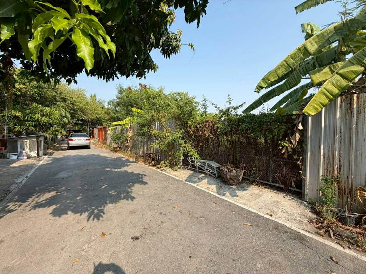 Empty land for sale, already fenced and filled. In Soi Wat Lat Pla Duk, Nonthaburi – รูปที่ 2