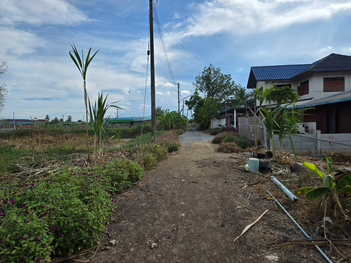 Land for sale, 201 square wah, in Laem Bua Subdistrict, Nakhon Chai Si District, Nakhon Pathom Province, same alley as Lung Nai Fishing Pond. – รูปที่ 4