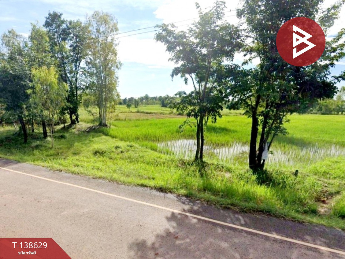 Land for sale, area 4 rai 3 ngan 65 sq m, Tha Bo, Nong Khai.
