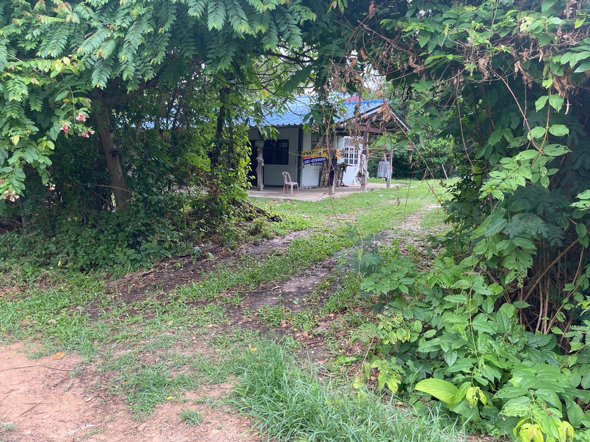 ขายที่ดินแถมบ้านชั้นเดียว ศรีสะเกษ บรรยากาศร่มรื่น ขายที่ดินแถมบ้านชั้นเดียว ศรีสะเกษ บรรยากาศร่มรื่น