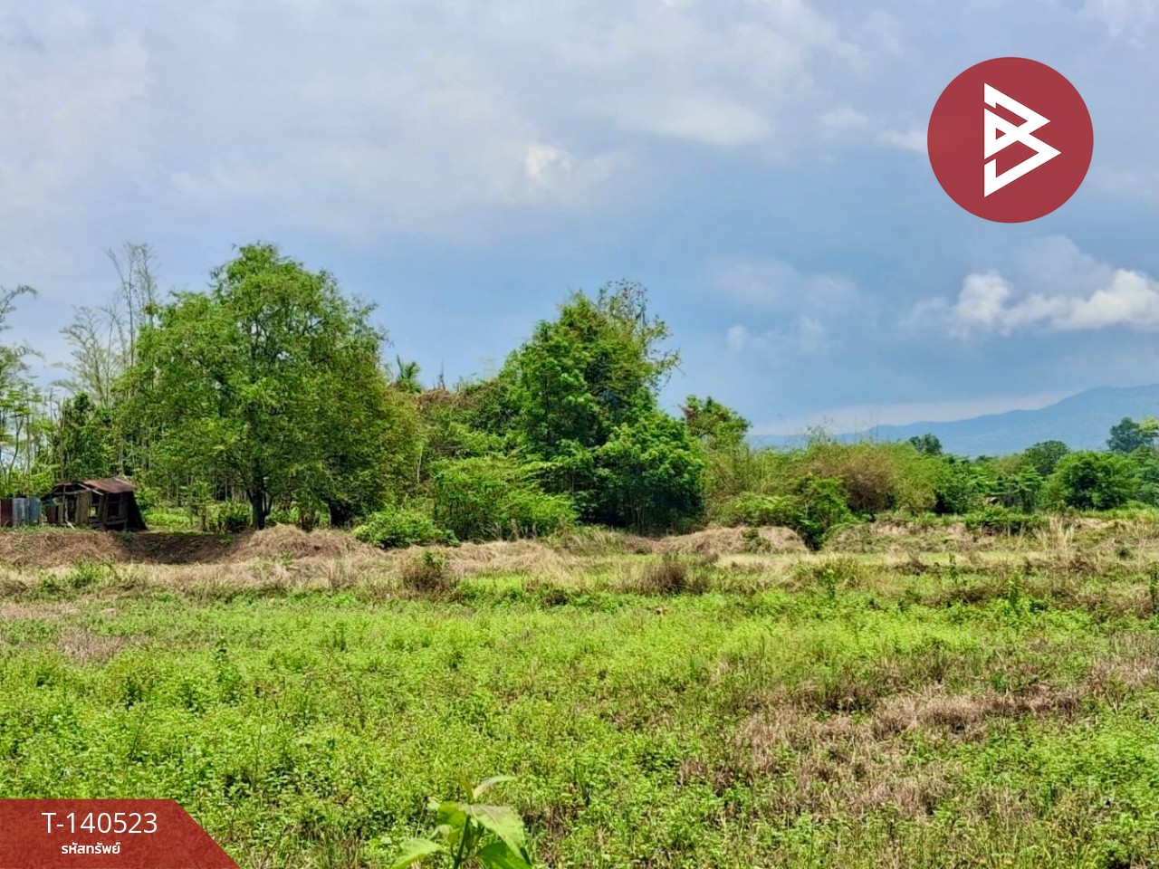 Land for sale, area 6 rai 47.5 sq m, Tha Pla, Uttaradit. Land for sale, area 6 rai 47.5 sq m, Tha Pla, Uttaradit.