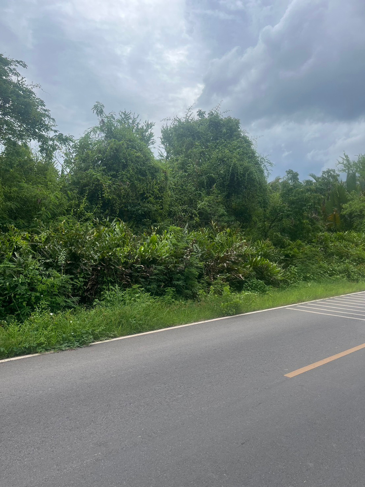 Land for sale, Mueang Samut Songkhram District, area 3-1-96 sq m. – รูปที่ 2