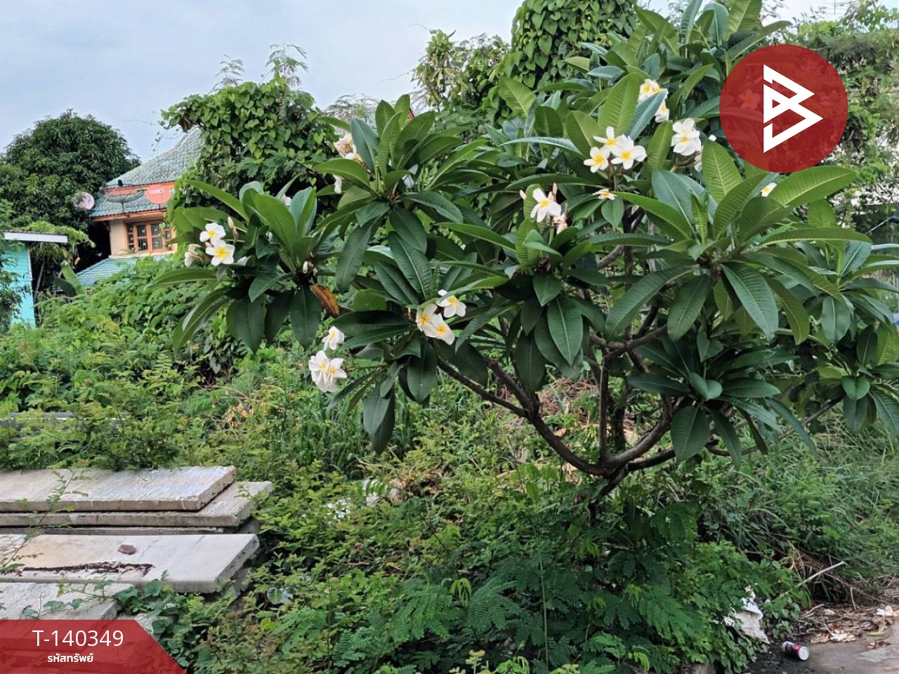 Land for sale in Pruksa Village 2, area 60 sq m, Thanyaburi, Pathum Thani. – รูปที่ 3
