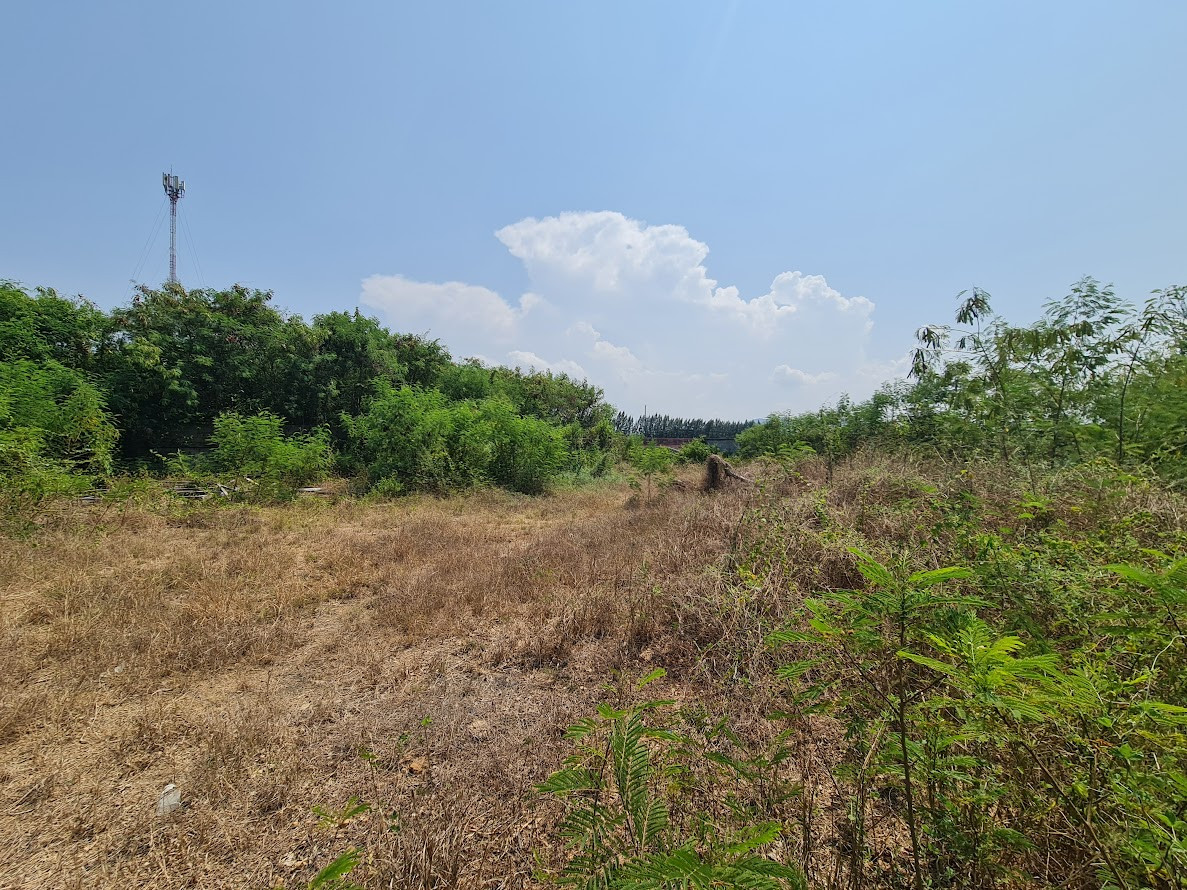 ขายที่ดินปราณบุรี ประจวบคีรีขันธ์ 399.4 ตร.ว. พร้อมอาคารโกดัง ใกล้ถนนเพชรเกษม – รูปที่ 4