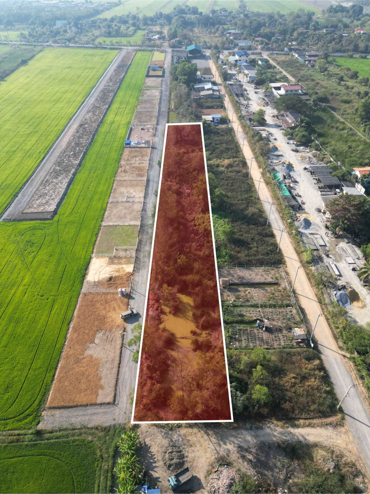 ขายที่ดิน 2 ไร่ ถมแล้ว บรรยากาศธรรมชาติ เหมาะสร้างบ้านหรือพัฒนาโครงการ – รูปที่ 3