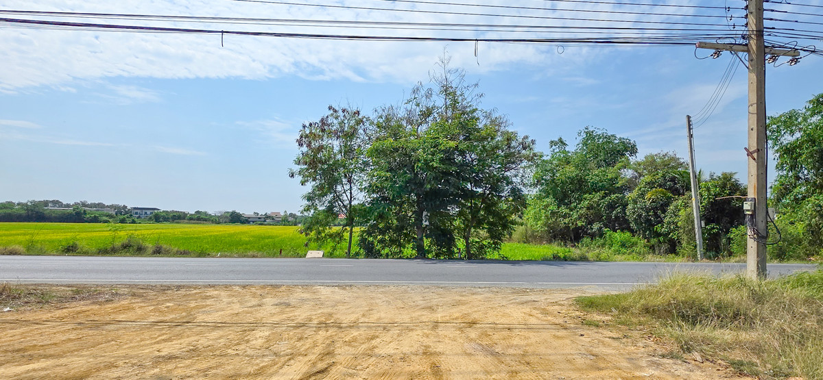 ขายที่ดิน 13 ไร่ 305 ตารางวา ต.คลองโยง อ.พุทธมณฑล นครปฐม – รูปที่ 3