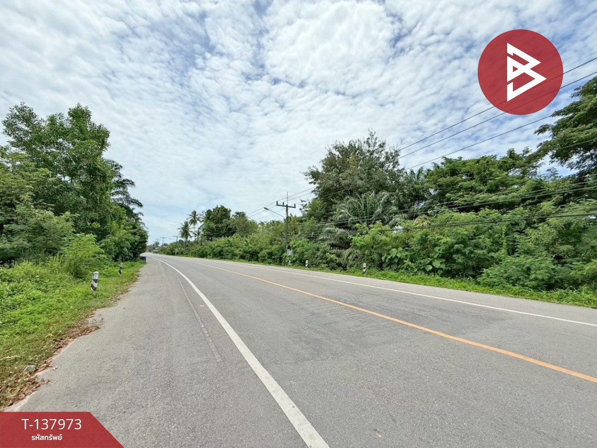 Land for sale, area 2 ngan 74 sq m, Tha Chana, Surat Thani. – รูปที่ 3