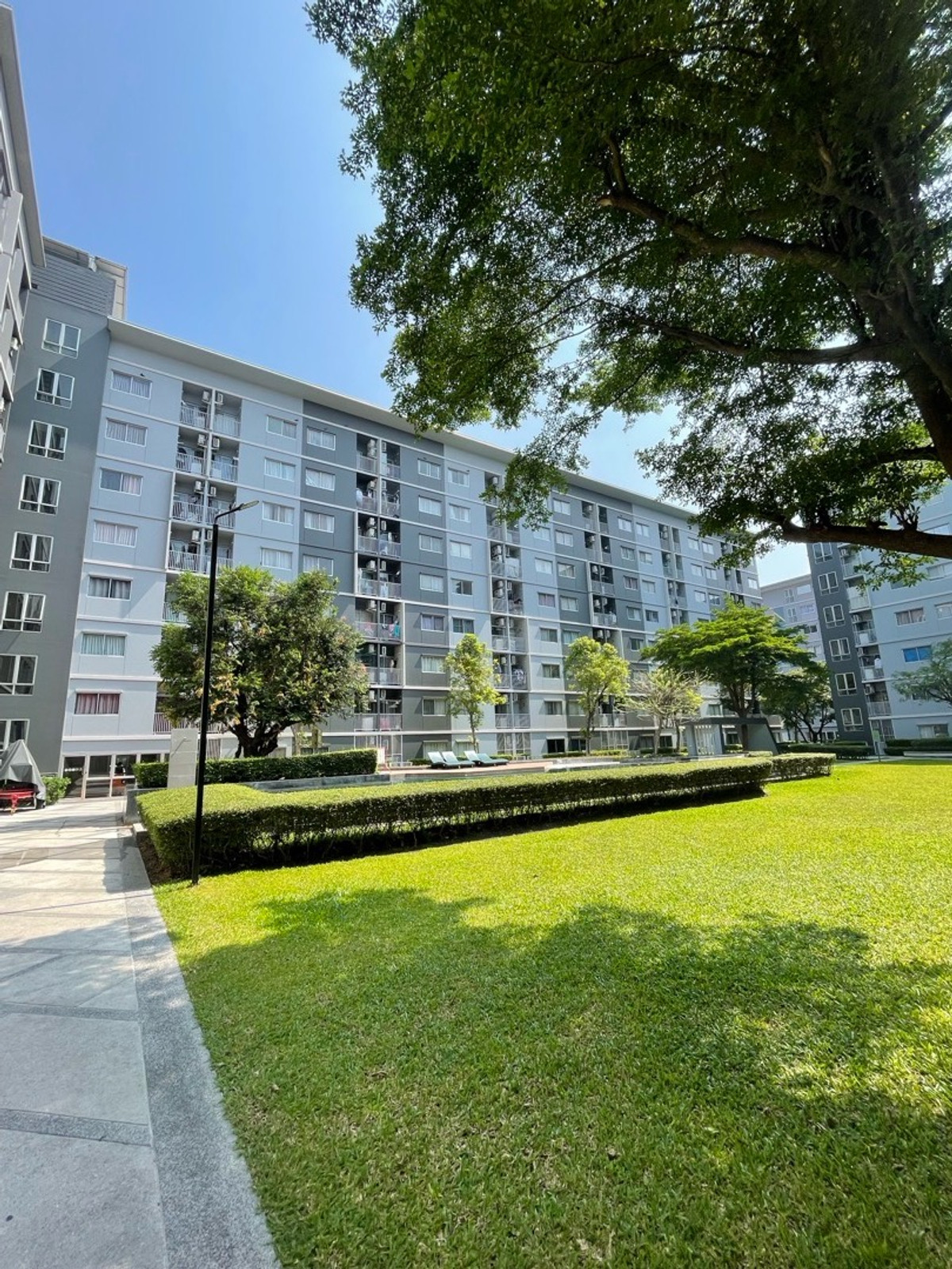 ขายคอนโดใกล้ ม.กรุงเทพ เหมาะลงทุน yield 7% พลัมคอนโด พาร์ค รังสิต Plum Condo Park Rangsit – รูปที่ 3
