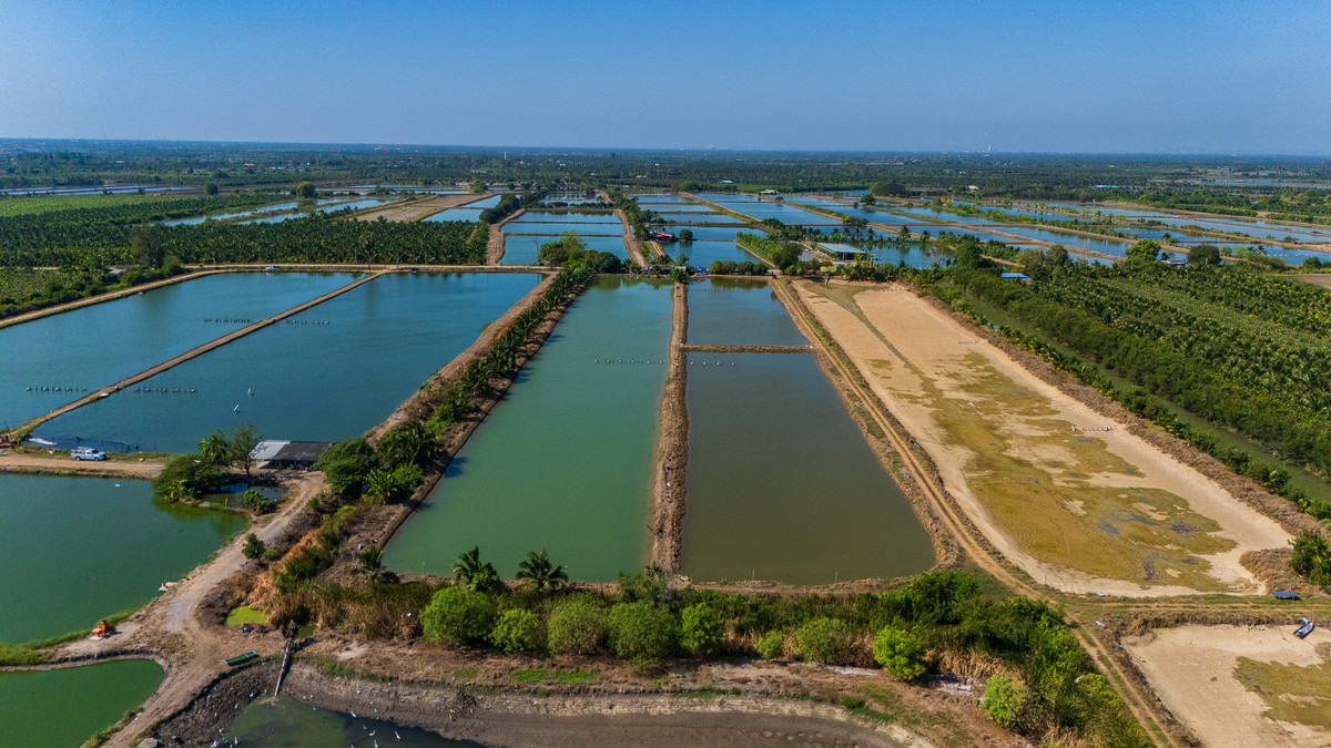 Agricultural land for sale, Bo-Kung, Nakhon Pathom Province. Mueang Nakhon Pathom District – รูปที่ 2