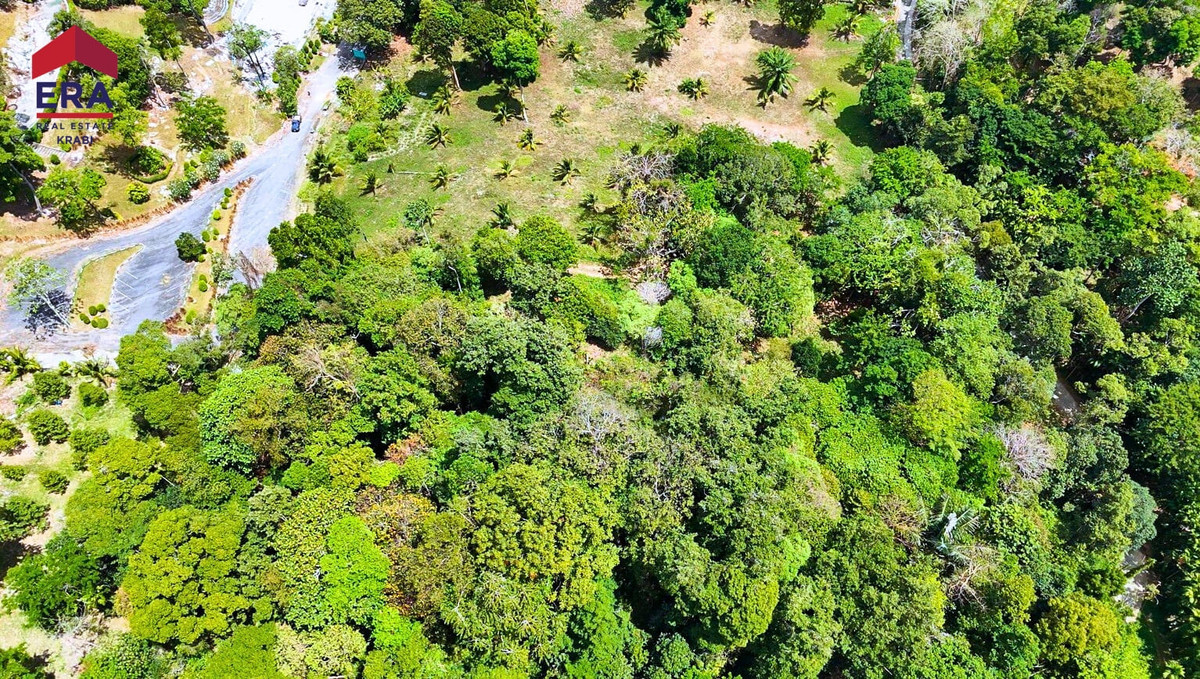 Sea View Land – Prime Location Krabi, กระบี่ – รูปที่ 3