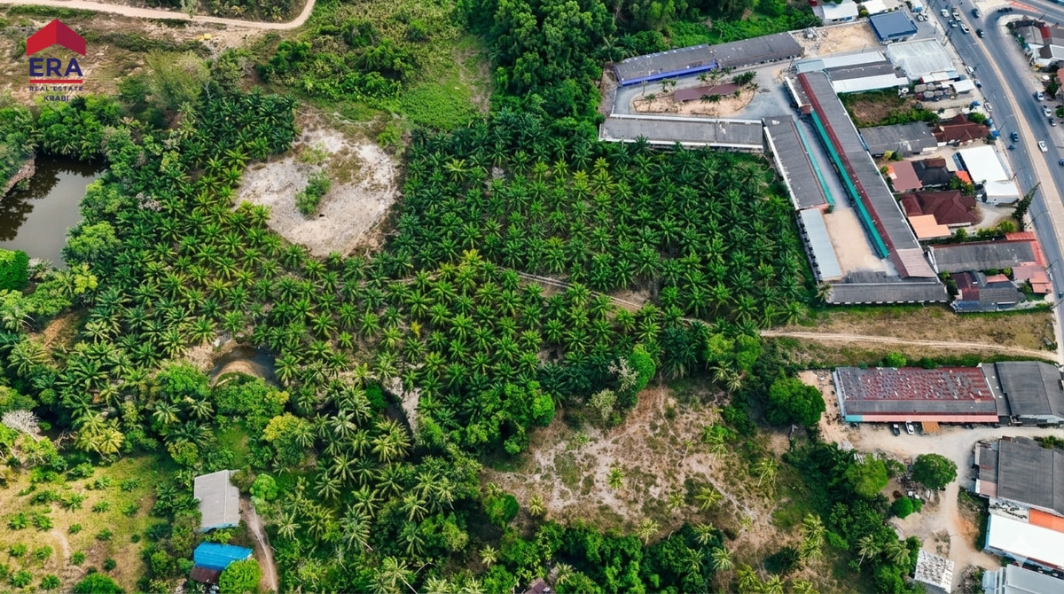 Prime Development Land Near the Beach – Krabi, กระบี่ – รูปที่ 2