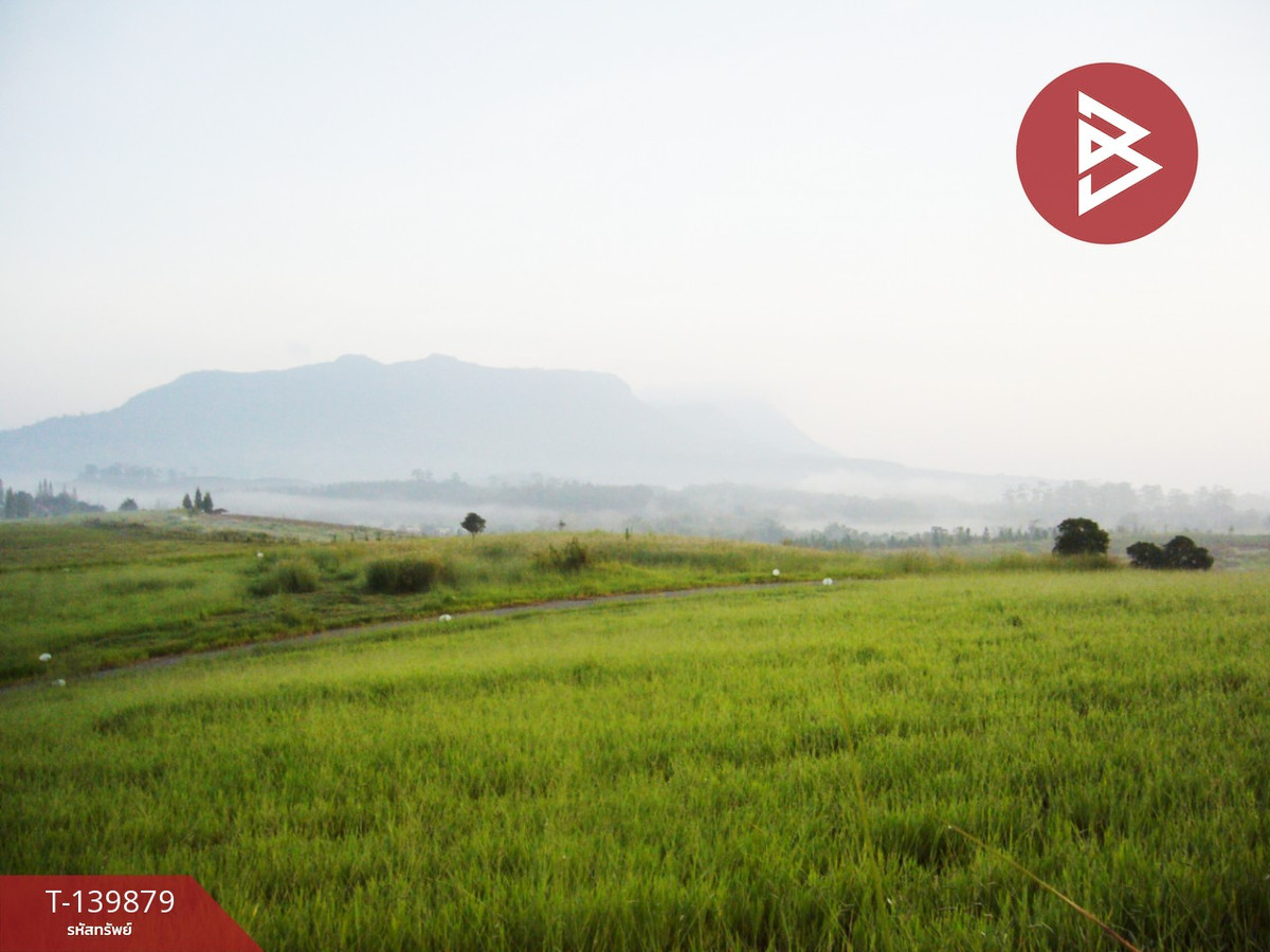 ขายที่ดิน เนื้อที่ 1 งาน 84.4 ตร.วา เขาค้อ เพชรบูรณ์ ขายที่ดิน เนื้อที่ 1 งาน 84.4 ตร.วา เขาค้อ เพชรบูรณ์
