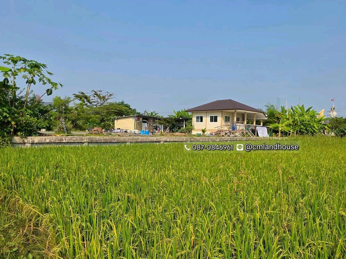 บ้านสวนริมน้ำ 1 ไร่ บ้านใหม่ พร้อมโรงเรือน โรงจอดรถ บาร์น้ำ ที่ดินมีรูปแปลงสวย (รูปถุงทอง, รูปเพชร) เส้นทางตรงไปเซ็นทรัลเฟสติวัล 15 กม. ใกล้ รพ.ดอยสะเก็ด 2 กม.