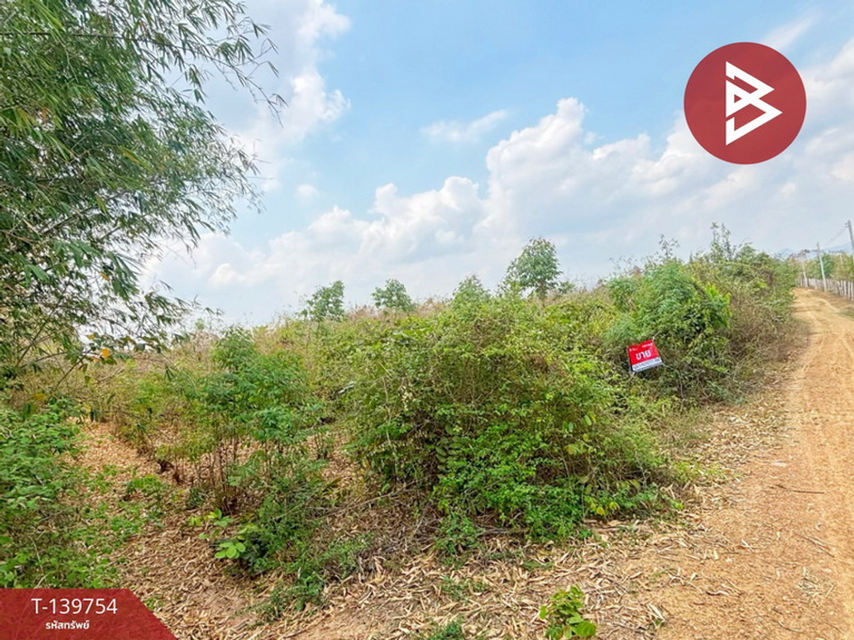 Land for sale, area 14 rai 3 ngan 33.2 square wah, Pak Tho, Ratchaburi. – รูปที่ 2