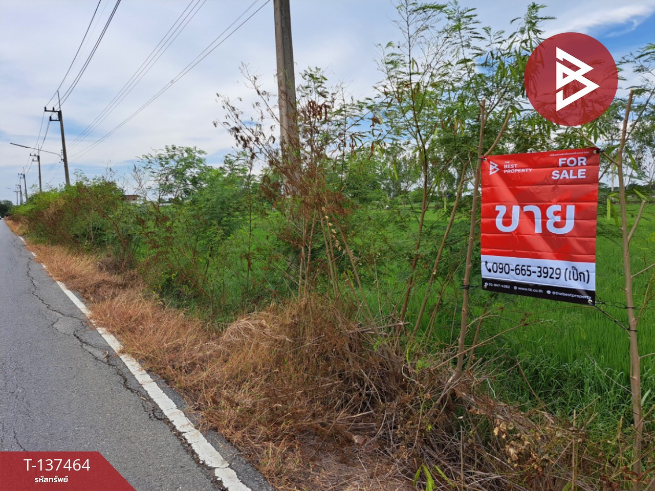 Land for sale, area 1 ngan 83 sq m, Phutthamonthon, Nakhon Pathom. – รูปที่ 2