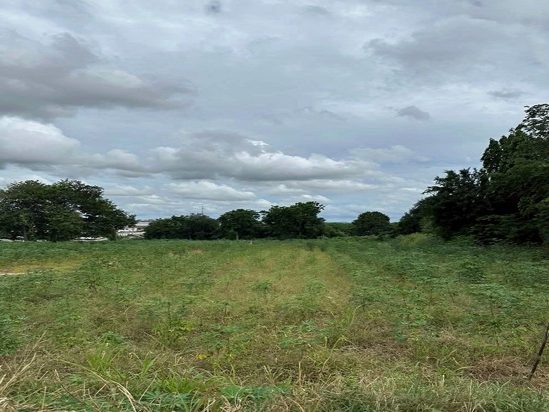 High-potential land for sale in Sriracha, ideal for factory, warehouse, and housing development projects. High-potential land for sale in Sriracha, ideal for factory, warehouse, and housing development projects.