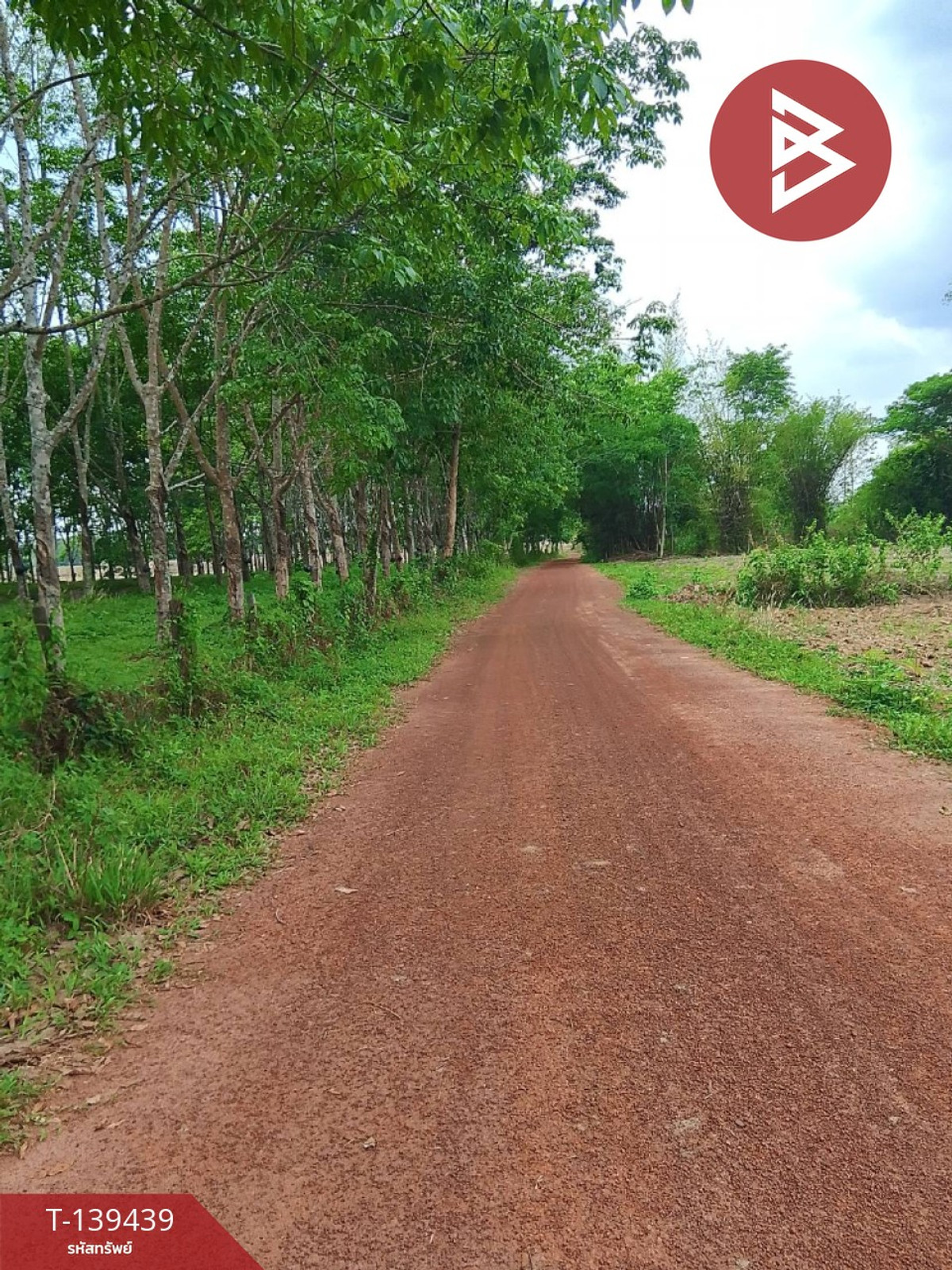 Land for sale, area 18 rai 3 ngan 33 square wah, Phon Phisai District, Nong Khai. – รูปที่ 4