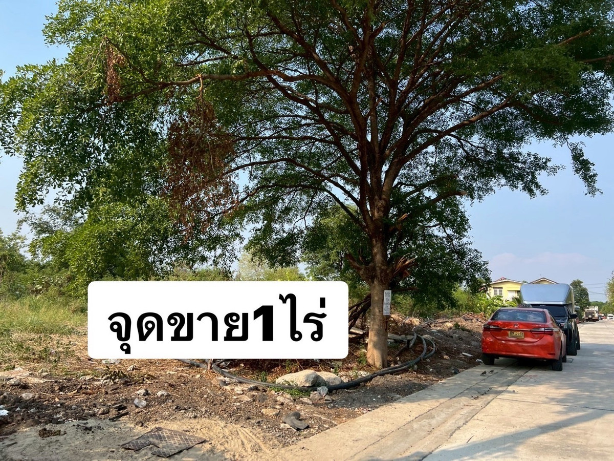 ขายที่ดินถนนสุขาภิบาล5 ถนนเทพรักษ์ตัดใหม่ หลังร้านสุกี้ตี๋น้อย ทำเลสวย 0863377287 ขายที่ดินถนนสุขาภิบาล5 ถนนเทพรักษ์ตัดใหม่ หลังร้านสุกี้ตี๋น้อย ทำเลสวย 0863377287