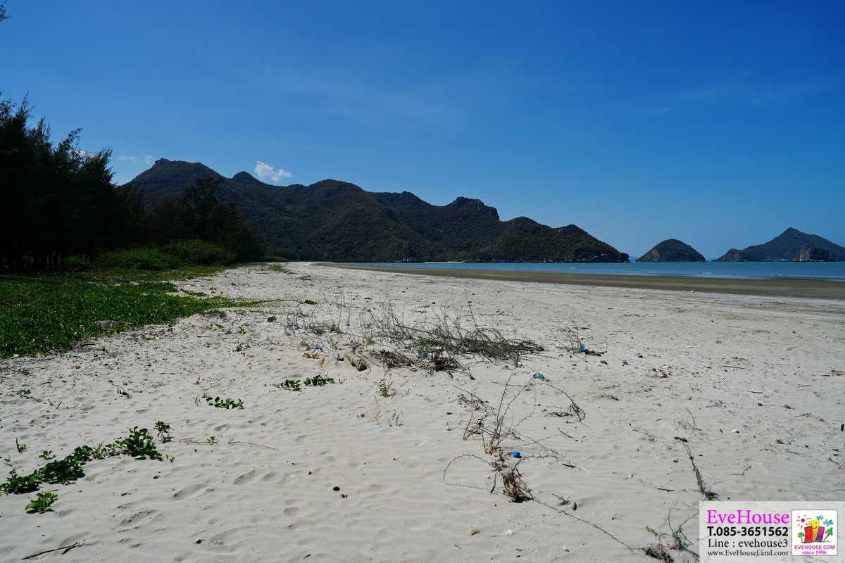 ขายที่ดิน ติดชายหาดบางปู ใกล้ถ้ำพระยานคร, จุดขึ้นลงเรือชมถ้ำ หาดทรายสวย หาดกว้างมาก ทรายละเอียด ที่ดินติดหาดกว้าง 25 ไร่ๆละ 9 ล้าน – รูปที่ 3