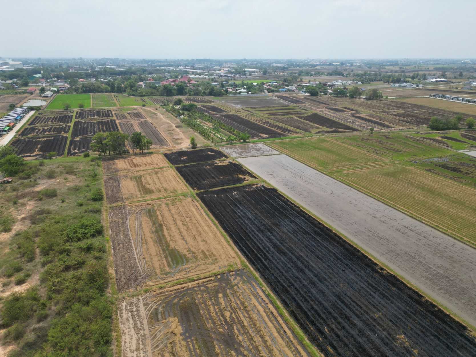 5 rai of empty land near the main road, Ban Krang Zone, Mueang Phitsanulok District. – รูปที่ 4