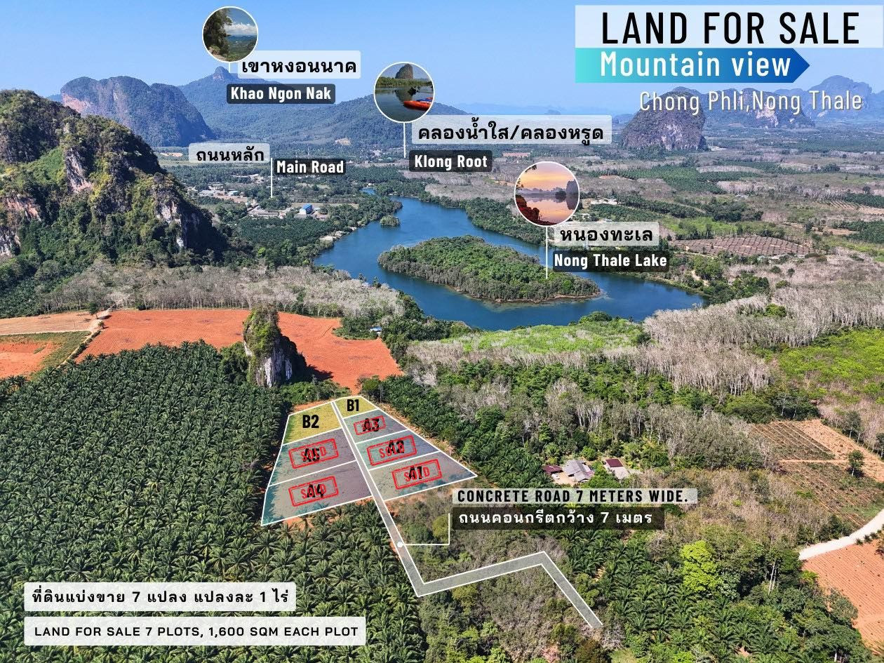 Land Plots for Sale – Chong Phli Soi 4 Krabi, กระบี่ – รูปที่ 2