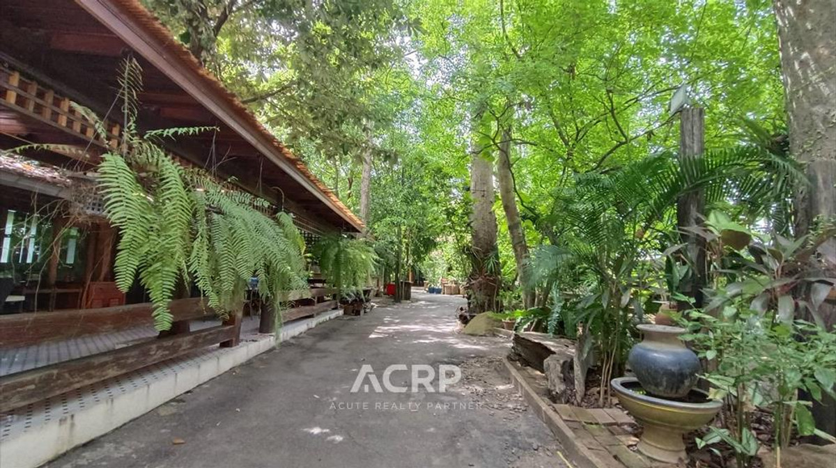 ขายร้านอาหาร บรรยากาศสบาย ร่มรื่น และใกล้ชิดธรรมชาติ อ.เมือง จ.ระยอง  – รูปที่ 2