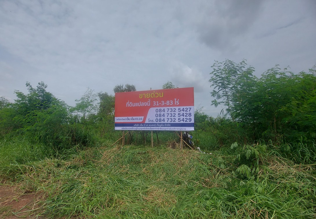 ที่ดินแปลงใหญ่ เขตหนองจอก กทม. ที่ดินแปลงใหญ่ เขตหนองจอก กทม.