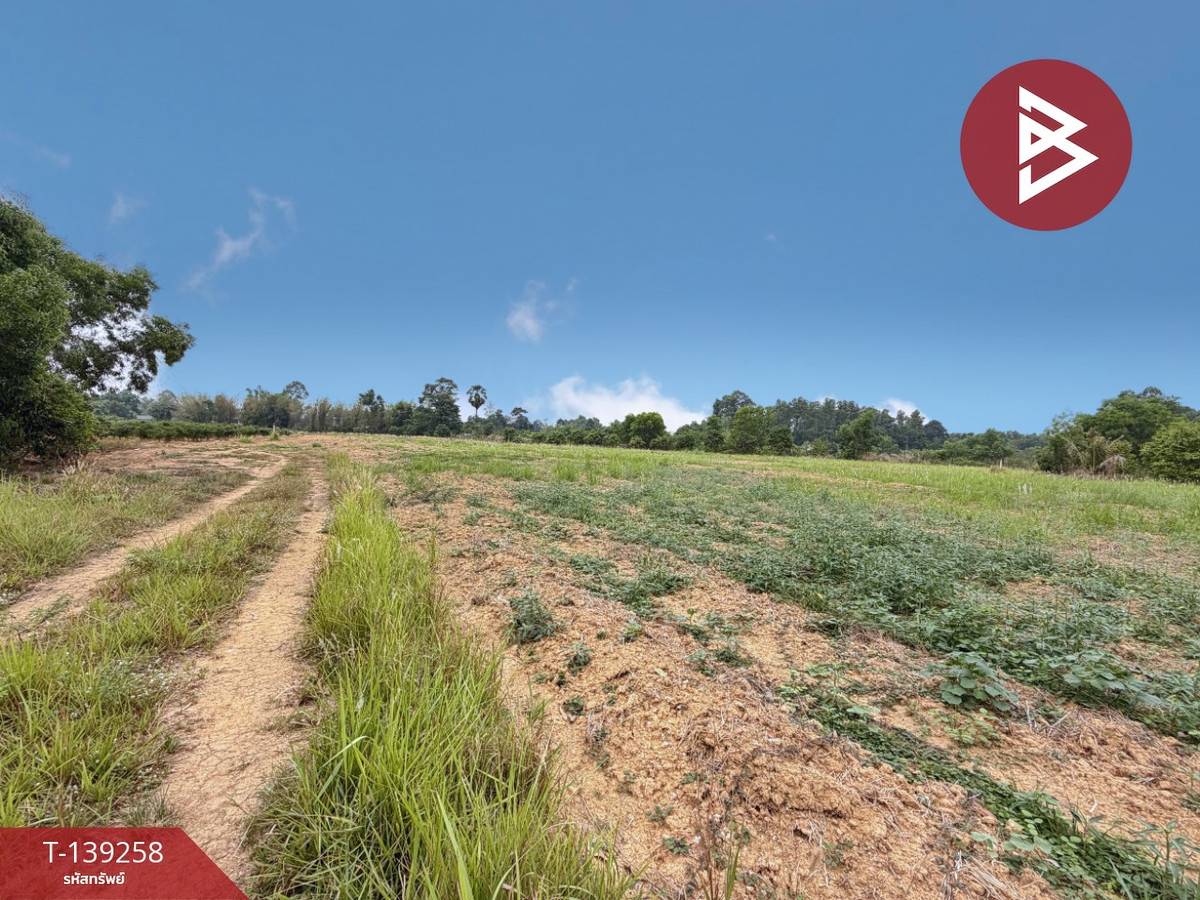 Land for sale, area 20 rai 1 ngan 31 sq m, Si Maha Phot, Prachinburi. – รูปที่ 4