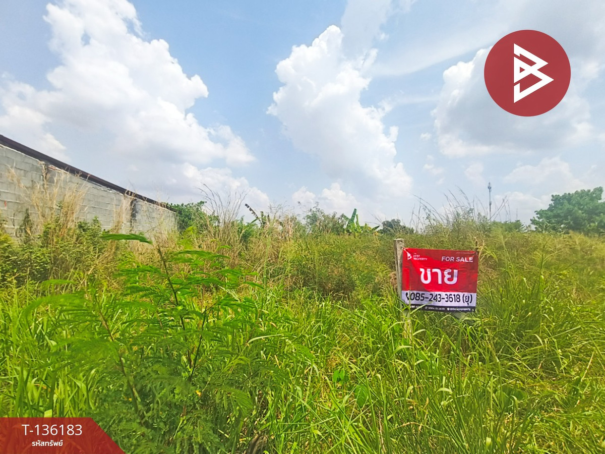 ขายที่ดิน เนื้อที่ 1 งาน 77.4 ตารางวา เกาะจันทร์ ชลบุรี – รูปที่ 4