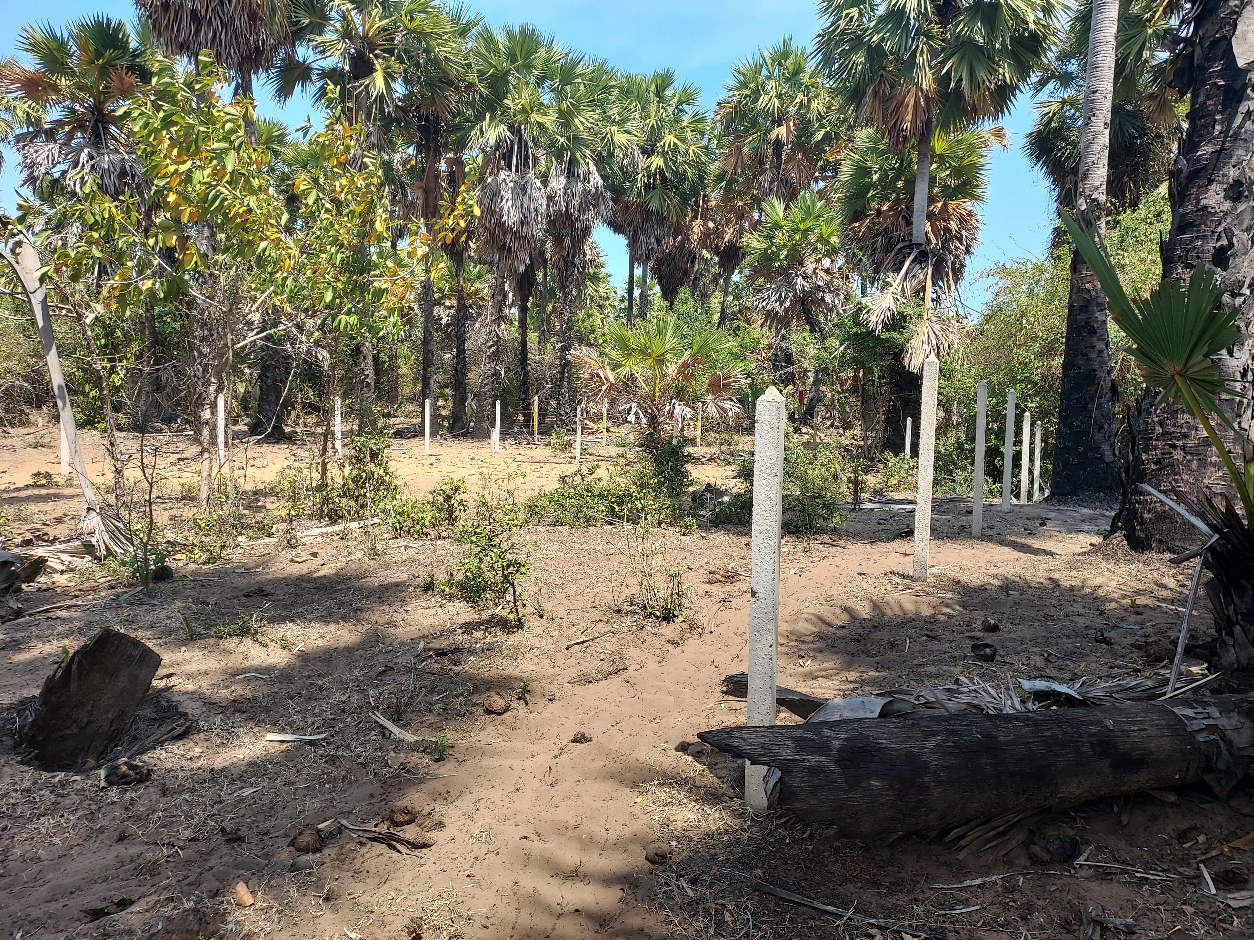 Want to urgently sell vacant land near Sofitel So Hua Hin Hotel and the emerging beachside cafe area in the area. – รูปที่ 2
