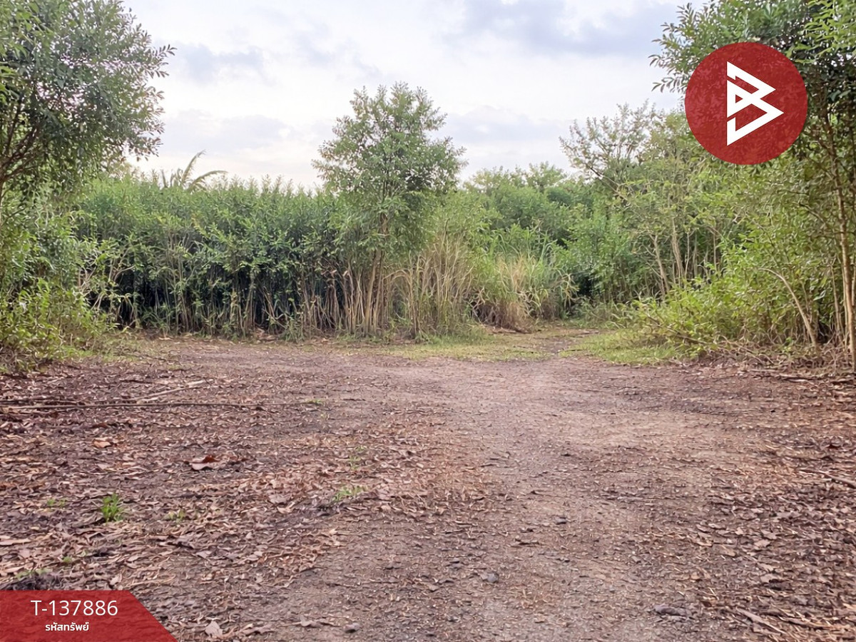 Land for sale, area 204.5 square meters, Klaeng, Rayong, beautiful area, good location. – รูปที่ 4