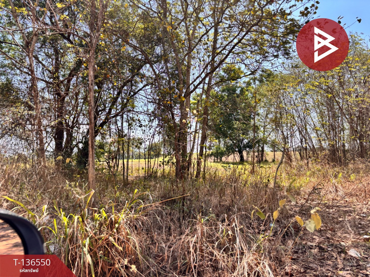 Land for sale, area 2 rai 19.9 square wah, Cha-am, Phetchaburi, beautiful location. – รูปที่ 3