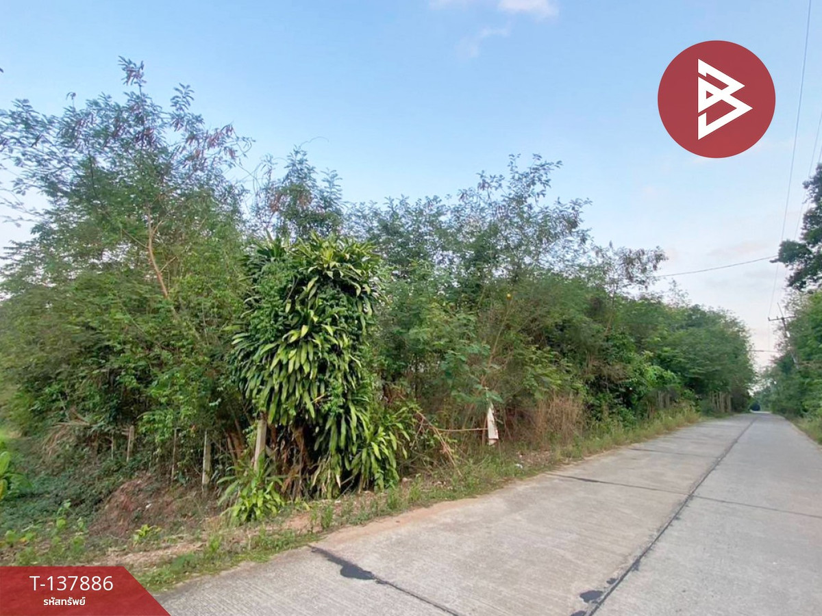 Land for sale, area 204.5 square meters, Klaeng, Rayong, beautiful area, good location. – รูปที่ 2