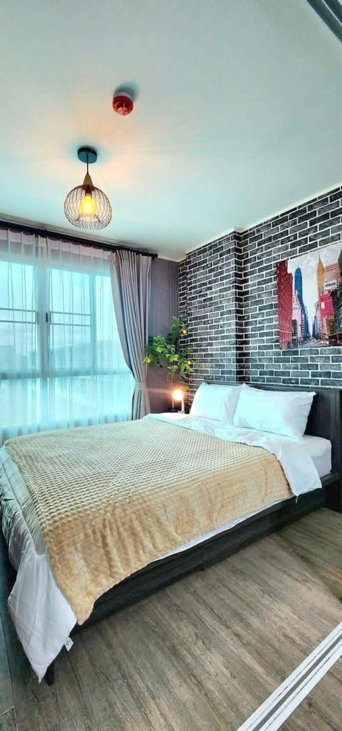 ให้เช่า D Condo Ping – รูปที่ 3